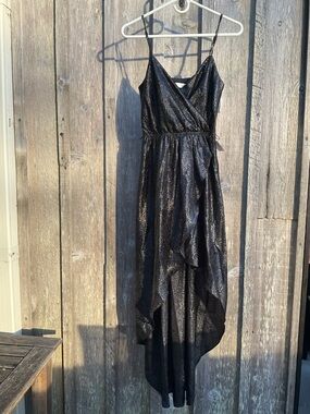 NWT Zara Ltd Edition Dress